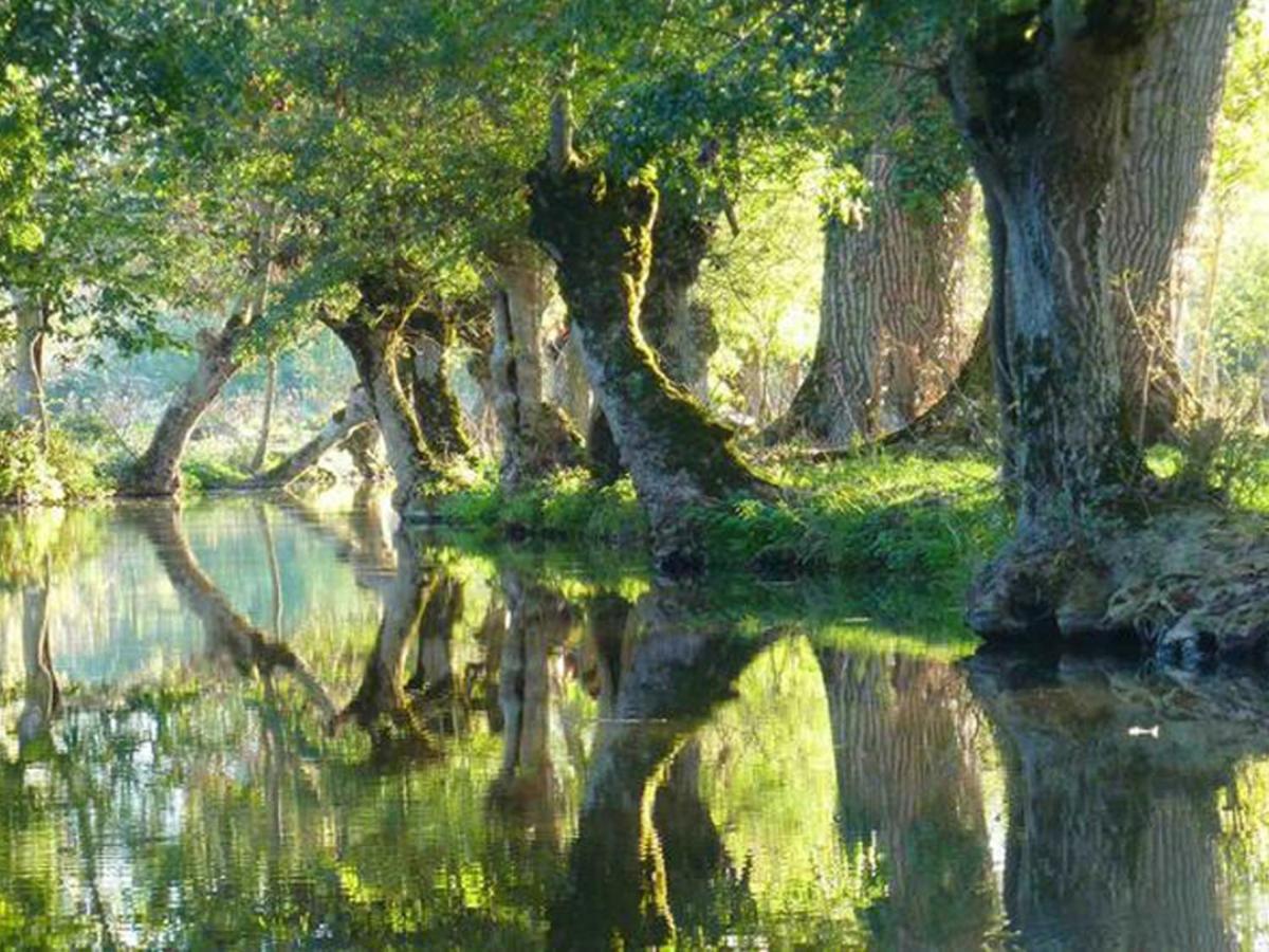 La Laujere Ivie - Gite & Piscine Privative Saint-Hilaire-du-Bois  エクステリア 写真